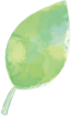 葉っぱ